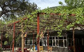 Olympos Camlik Pension