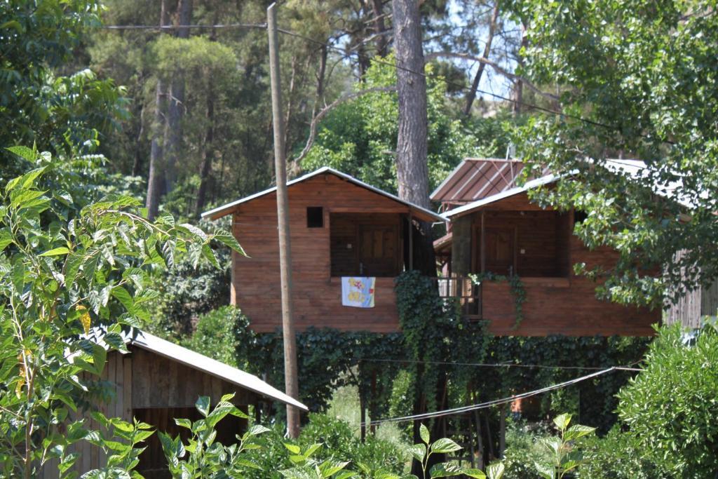 Olympos Camlik Pension Exterior photo