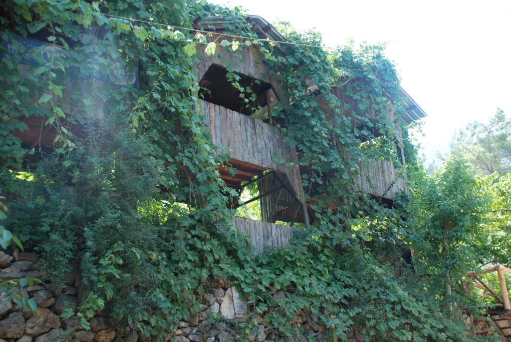 Olympos Camlik Pension Exterior photo