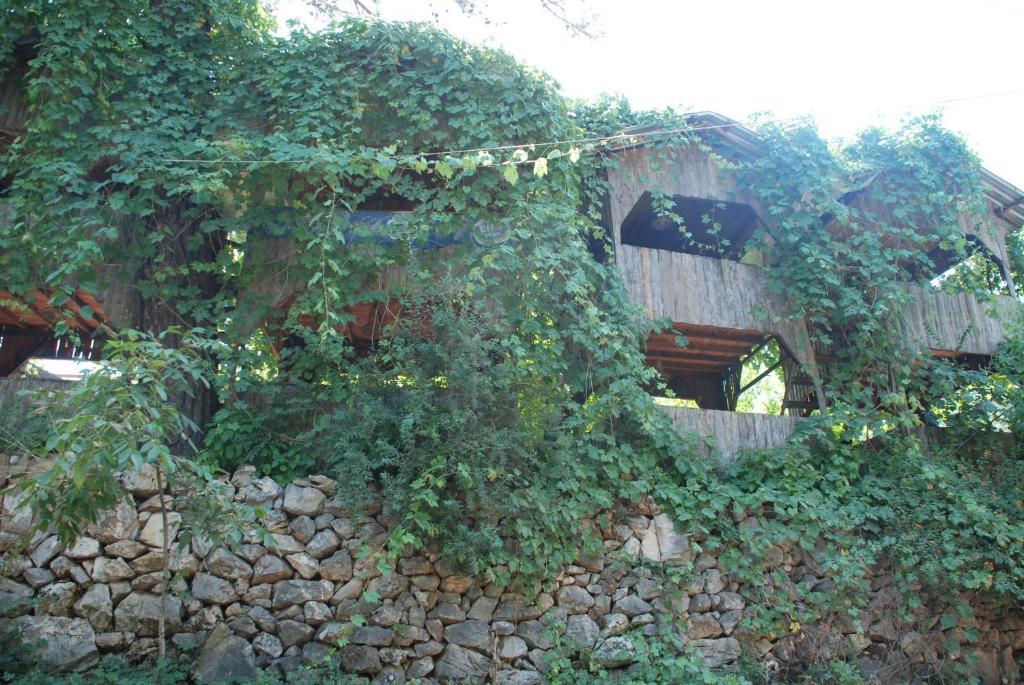 Olympos Camlik Pension Exterior photo